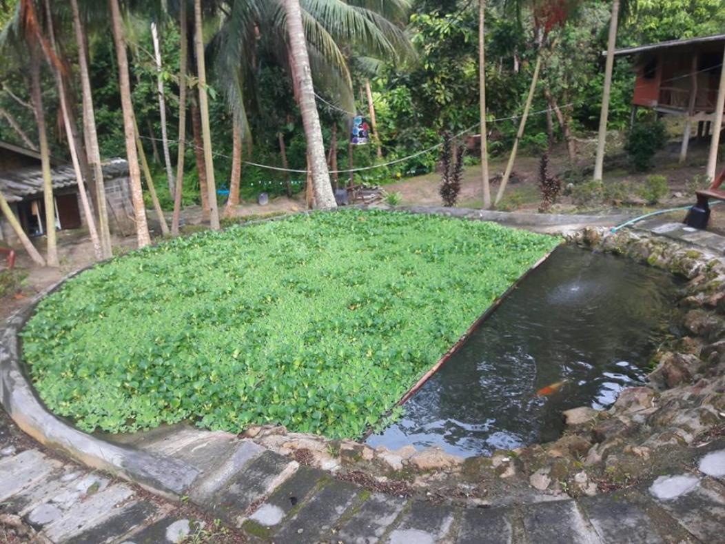 Hidden Valley Bungalows Baan Tai Exterior photo